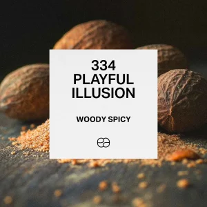 334 Playful Illusion