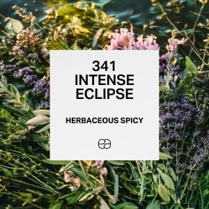 341 Intense Eclipse