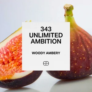 343 Unlimited Ambition