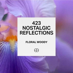 423 Nostalgic Reflections