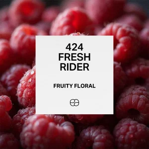 424 Fresh Rider